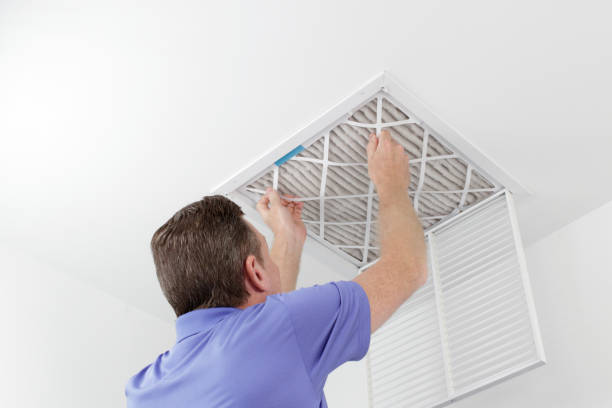 Best Air Duct Mold Removal  in Crofton, MD